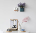 Decorative Bird Wall Hook Rack with Wooden Branch Design