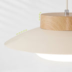 Modern Bowl Pendant Light with LED Glow for Ceiling Lighting