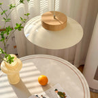 Modern Bowl Pendant Light with LED Glow for Ceiling Lighting