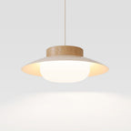 Modern Bowl Pendant Light with LED Glow for Ceiling Lighting