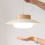 Modern Bowl Pendant Light with LED Glow for Ceiling Lighting